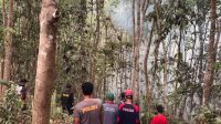 paser-4